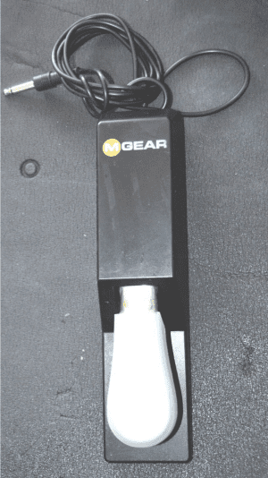 M-Audio MGear Pendal with 1/4" attached cable Great Condition.